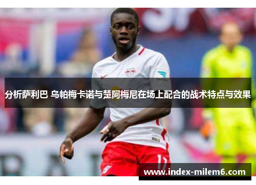 分析萨利巴 乌帕梅卡诺与楚阿梅尼在场上配合的战术特点与效果