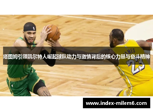 塔图姆引领凯尔特人崛起球队动力与激情背后的核心力量与奋斗精神