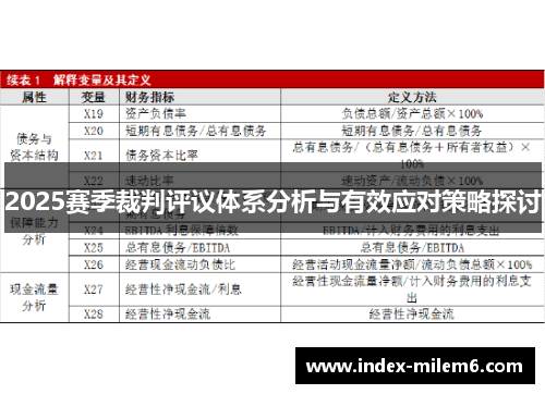 2025赛季裁判评议体系分析与有效应对策略探讨