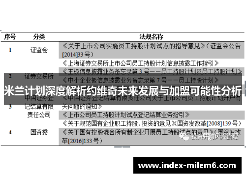 米兰计划深度解析约维奇未来发展与加盟可能性分析
