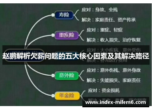 赵鹏解析欠薪问题的五大核心因素及其解决路径