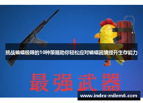 挑战蝙蝠极限的10种策略助你轻松应对蝙蝠困境提升生存能力