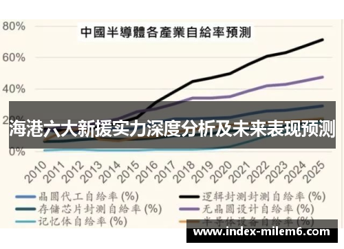 海港六大新援实力深度分析及未来表现预测