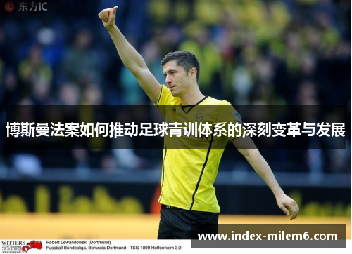 博斯曼法案如何推动足球青训体系的深刻变革与发展