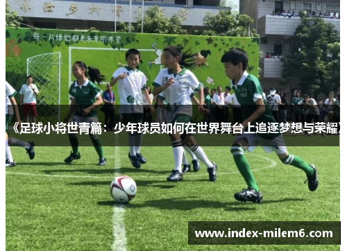 《足球小将世青篇：少年球员如何在世界舞台上追逐梦想与荣耀》