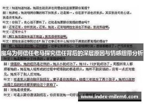 魔鸟为何信任老马探究信任背后的深层原因与情感纽带分析