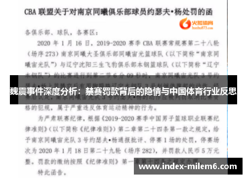 魏震事件深度分析：禁赛罚款背后的隐情与中国体育行业反思