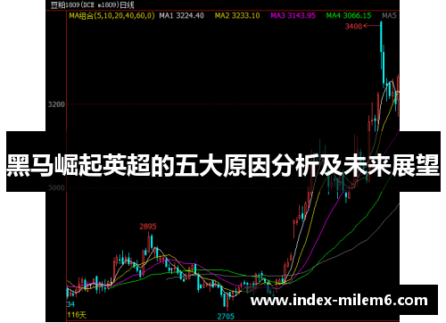 黑马崛起英超的五大原因分析及未来展望