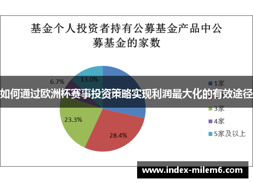 如何通过欧洲杯赛事投资策略实现利润最大化的有效途径